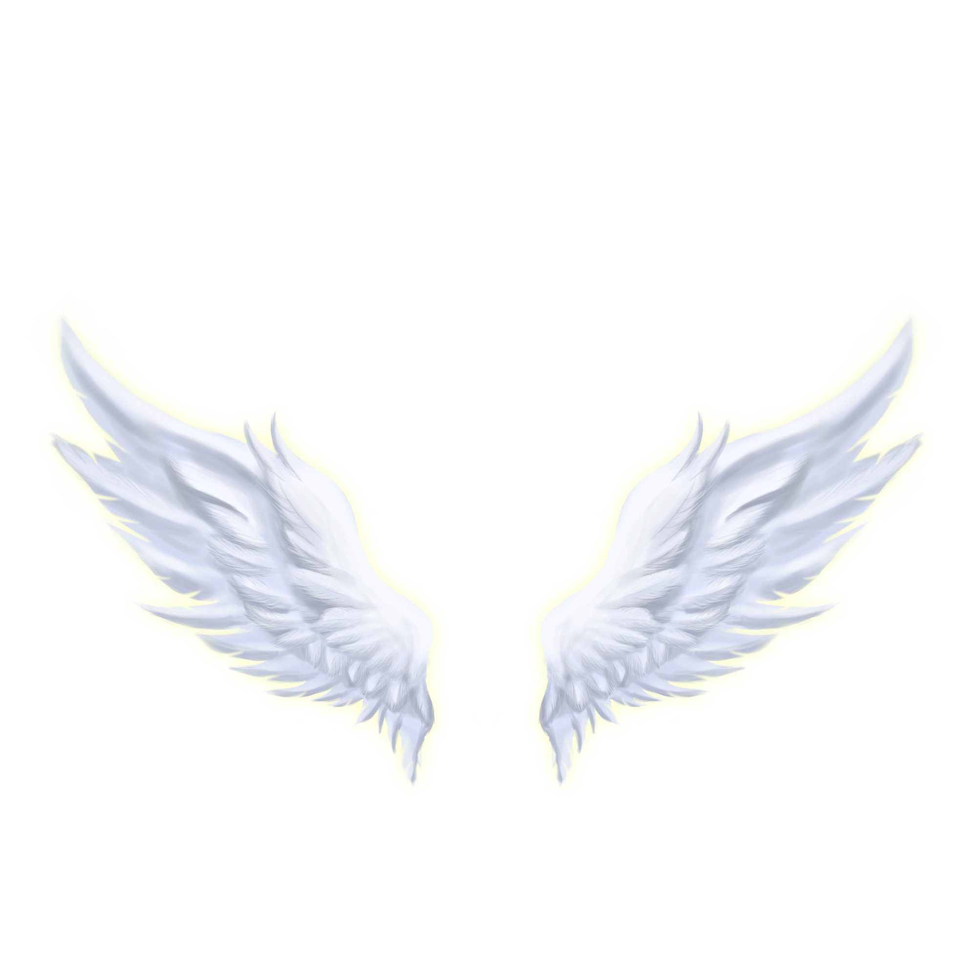 Ailes AnnAnge Zen
